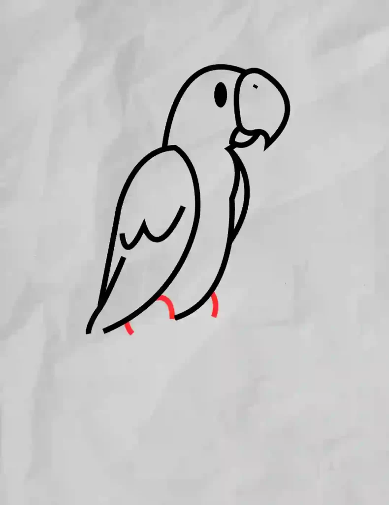 How-To-Draw-A-Parrot