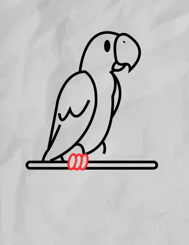 How-To-Draw-A-Parrot