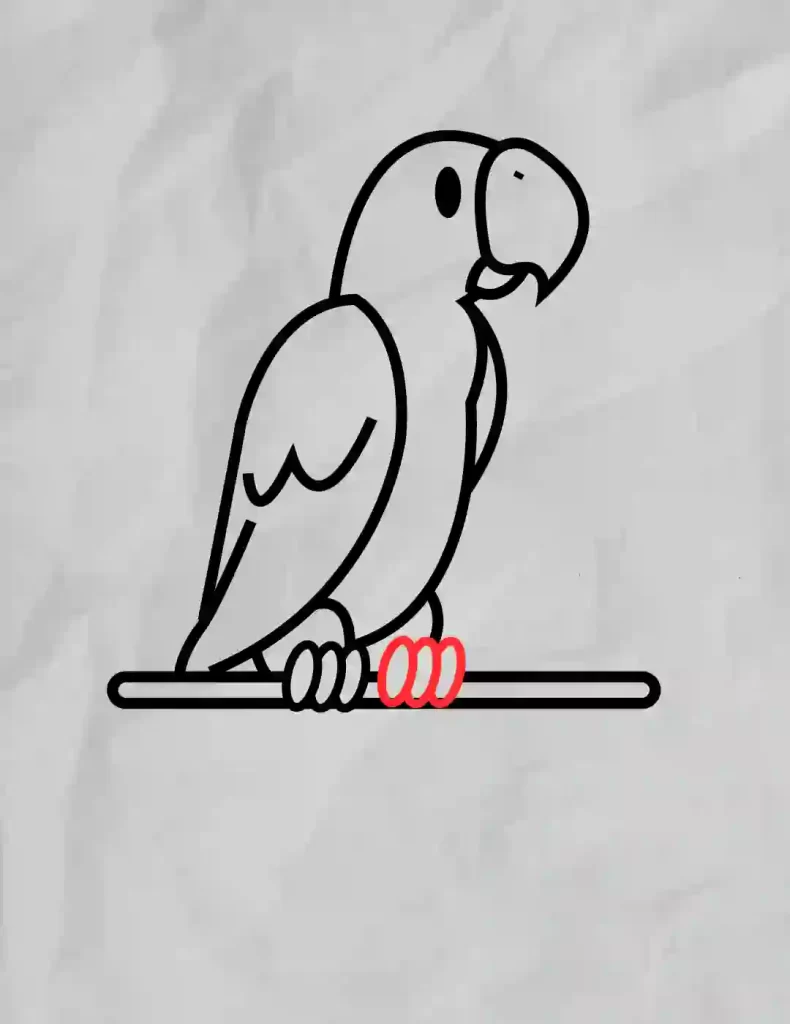 How-To-Draw-A-Parrot