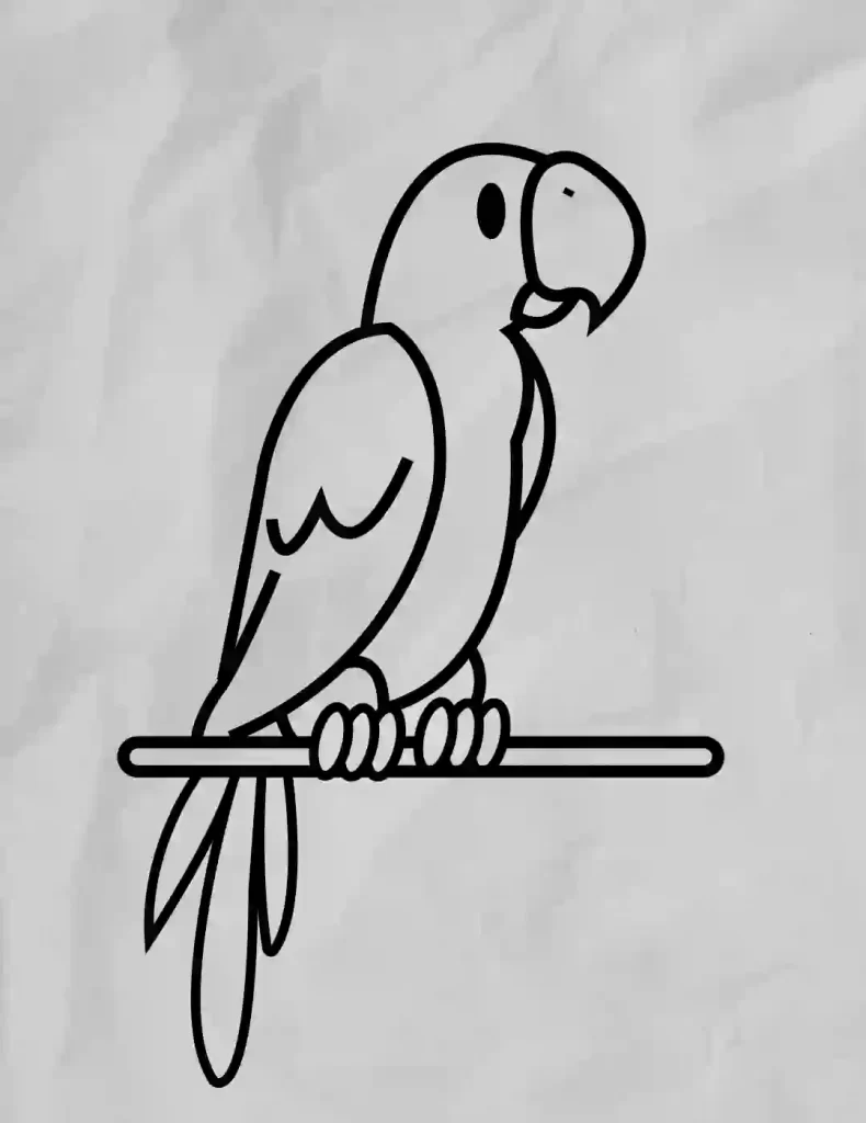 How-To-Draw-A-Parrot