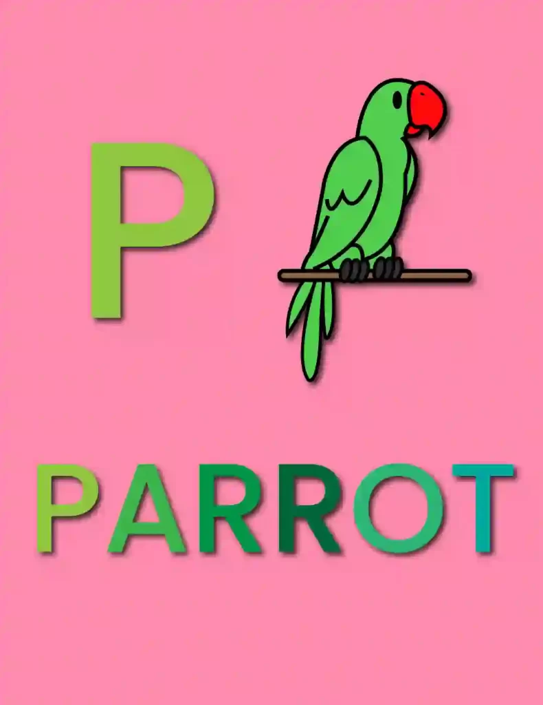 How-To-Draw-A-Parrot