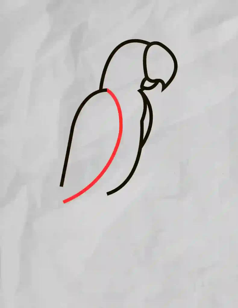 How-To-Draw-A-Parrot