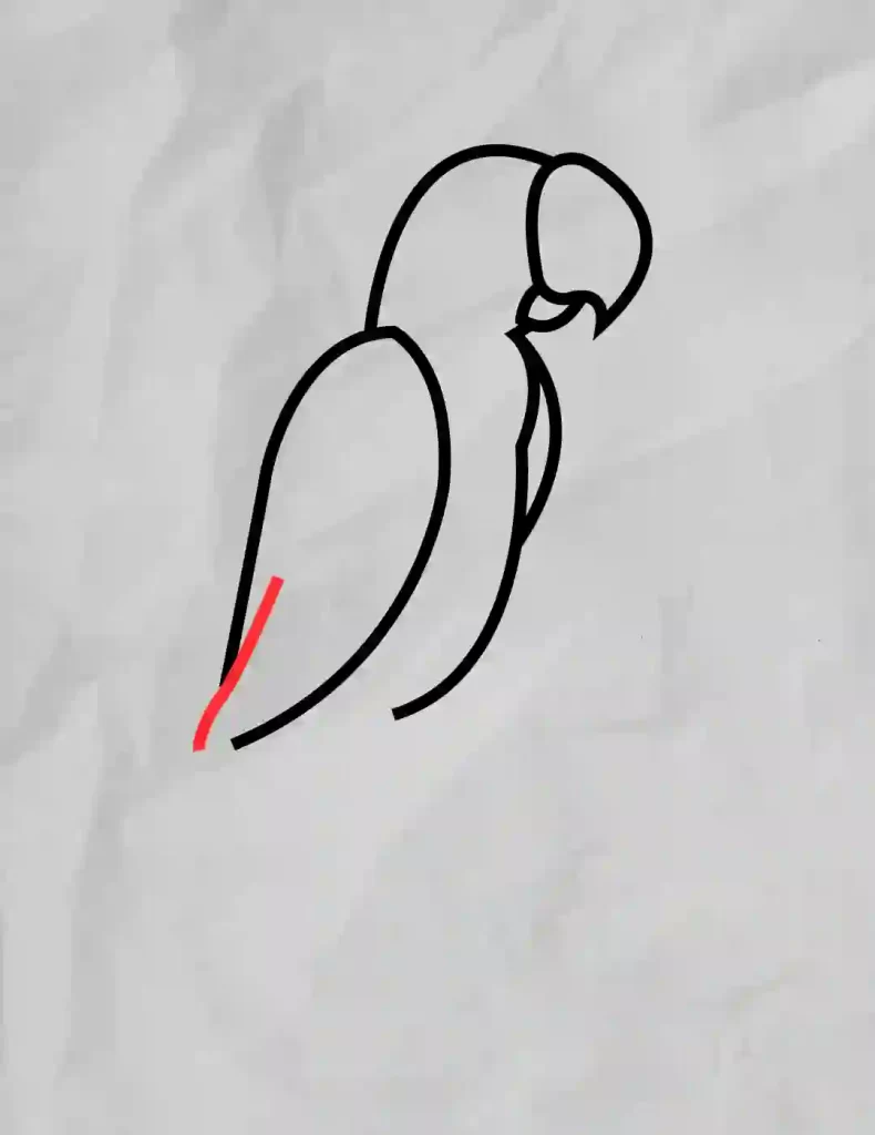 How-To-Draw-A-Parrot