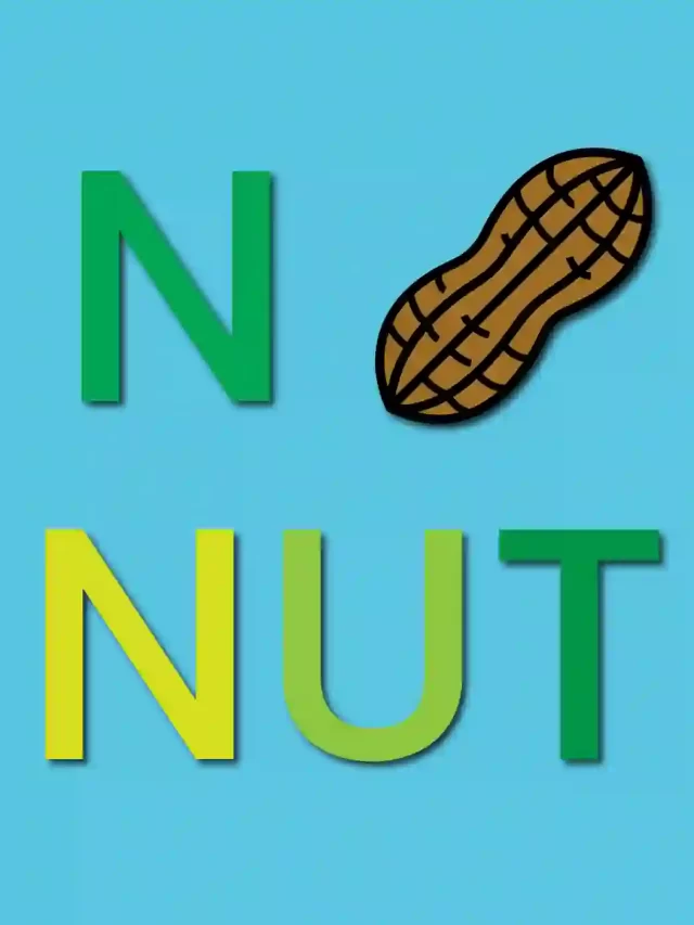 How to Draw Nuts – A to Z Alphabet Drawing
