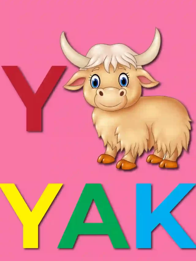 How to Draw a Yak – A to Z Alphabet Drawing