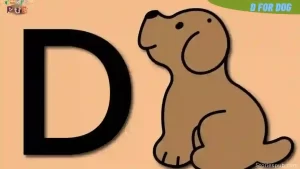 Read more about the article How to Draw a Dog- A to Z Alphabet Drawing