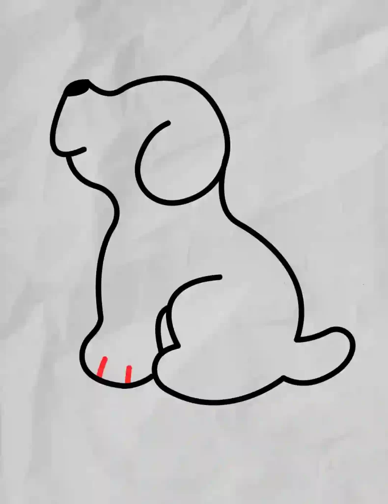 How-to-Draw-a-Dog