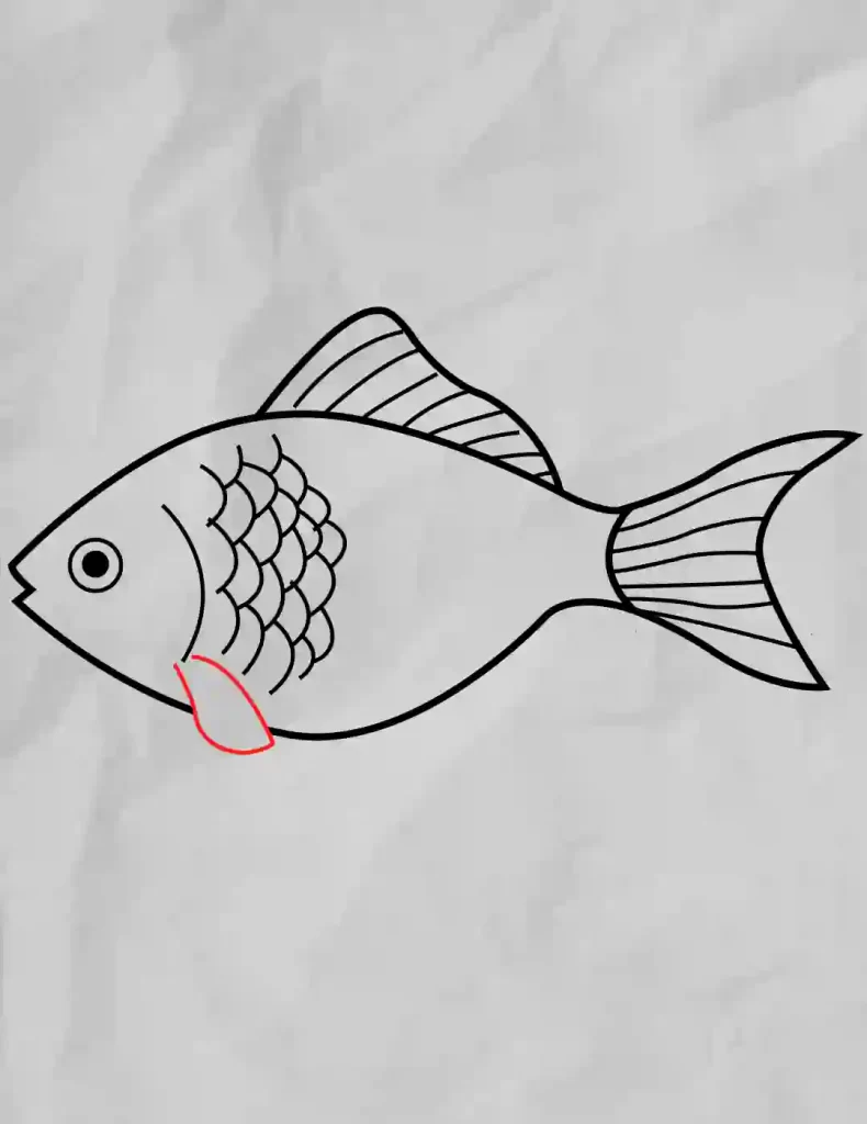 How-to-draw-Fish