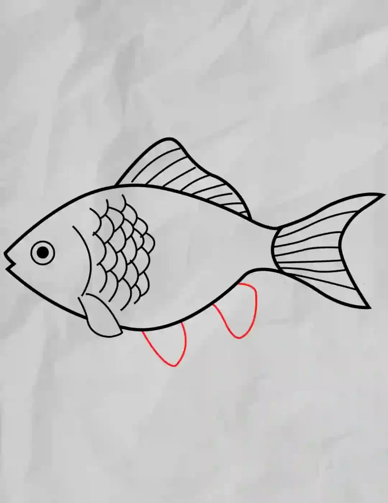 How-to-draw-Fish