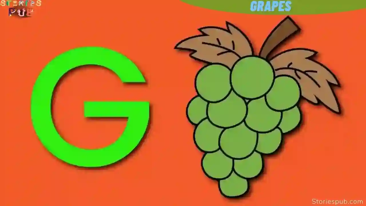 How To Draw Grapes - A To Z Alphabet Drawing 