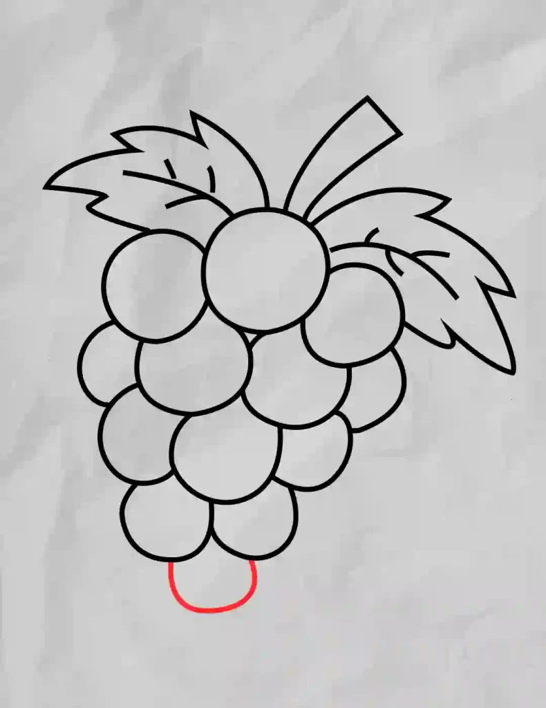 How to Draw Grapes Step by Step  EasyLineDrawing