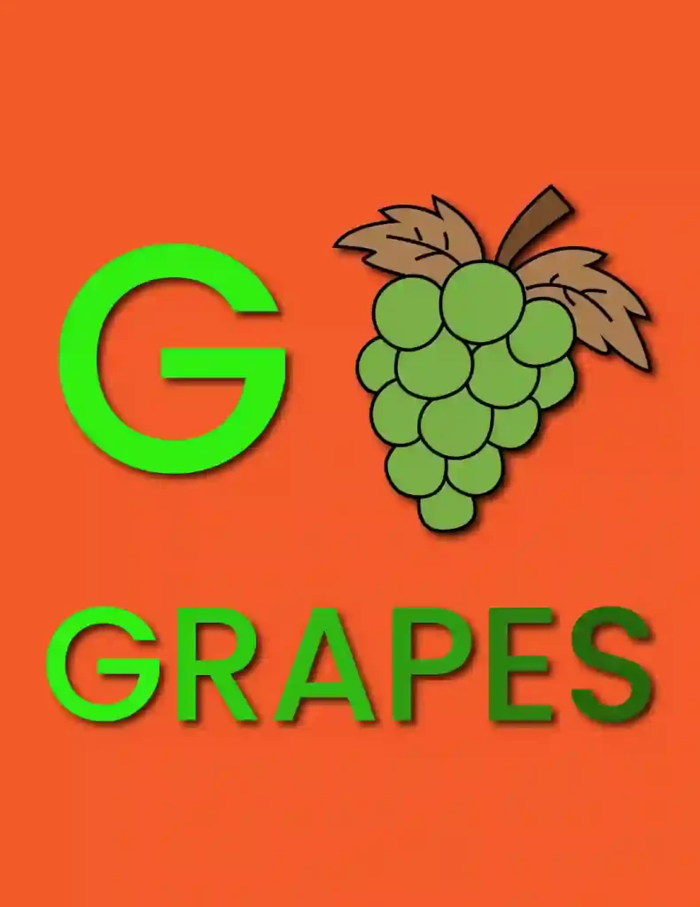 How -To-Draw-Grapes