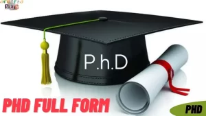 Read more about the article Brief Overview About the PhD