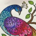 Peacock-Coloring-Pages-For-Kids