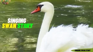 Read more about the article <strong>Singing Swan Story | Aesop’s Fables</strong>
