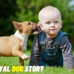 Loyal-Dog