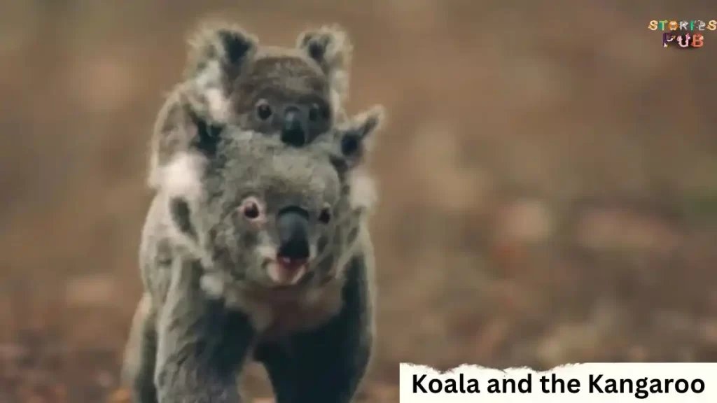  Koala-and-the-Kangaroo