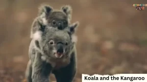 Read more about the article <strong>The Koala and the Kangaroo: An Animal Story</strong>
