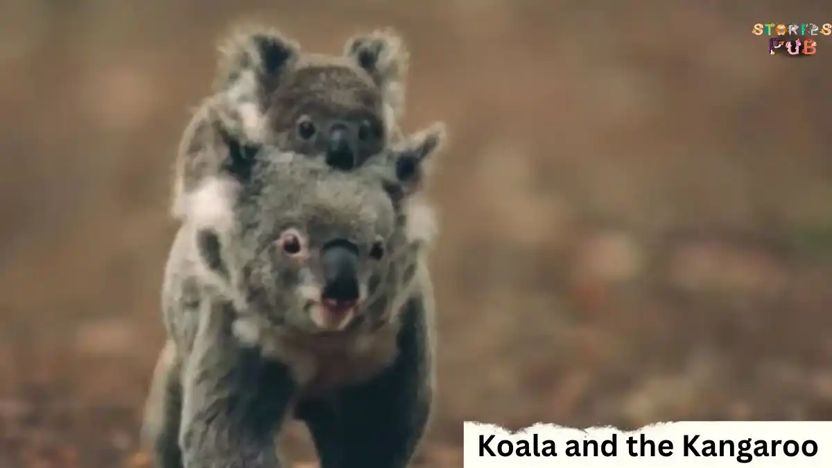 Koala-and-the-Kangaroo