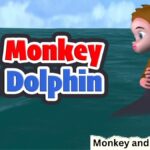 Monkey-and-the-Dolphin