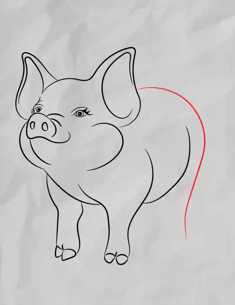 How-To-Draw-A-Pig