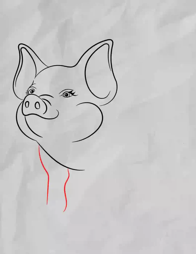 How-To-Draw-A-Pig