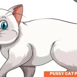 <strong>Pussy Cat Pussy Cat Poem: New and Original Version</strong>