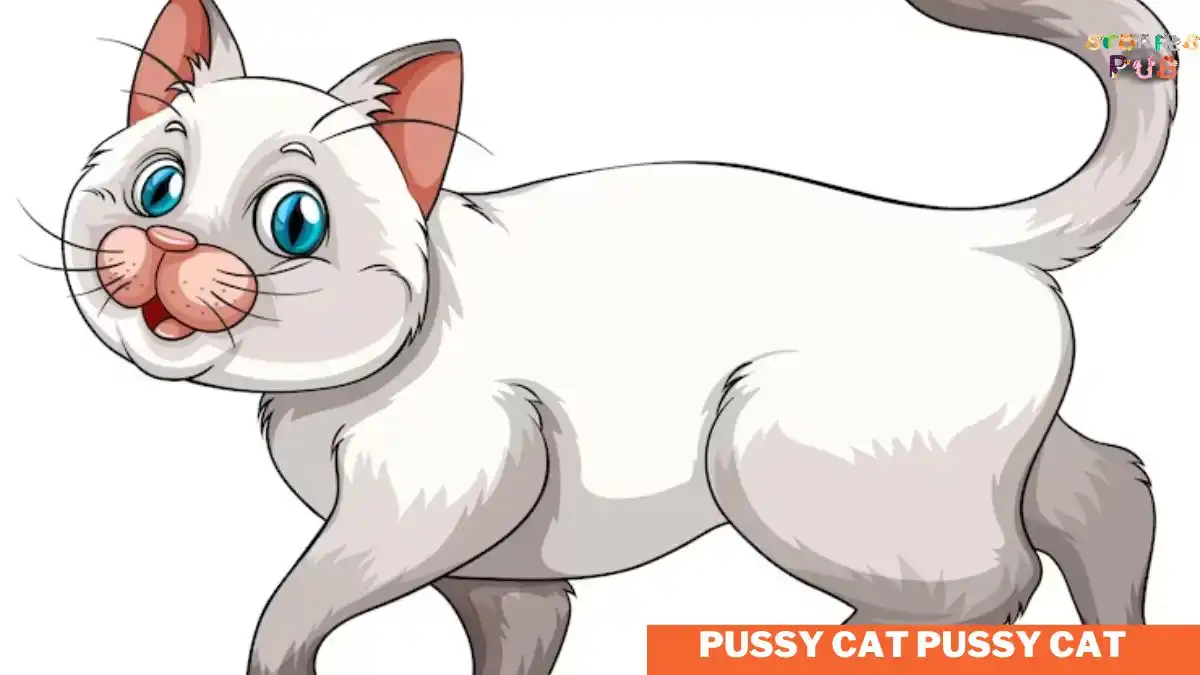 Pussy-Cat-Pussy-Cat