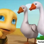 Tortoise-and-the-Geese