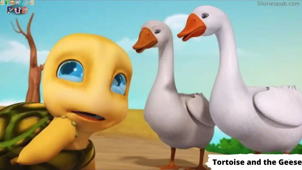 Tortoise-and-the-Geese