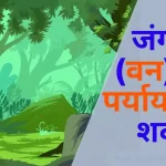 जंगल