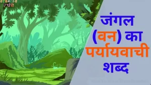 Read more about the article जंगल (वन) का पर्यायवाची शब्द | Jungle Ka Paryayvachi Shabd