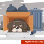 The Case of the Missing Pet: A Mysterious Story