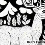 Deers Coloring Pages | For kids and adults
