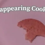 The Disappearing Cookies: A Mysterious Story