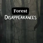 The Disappearing Forest: A Mysterious Story