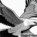 Eagle Coloring Pages | For kids and adults