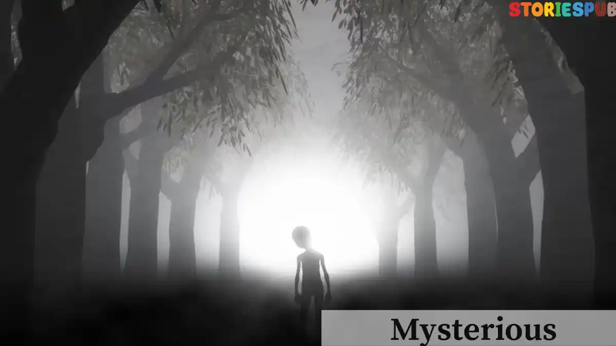 Mysterious-Stranger