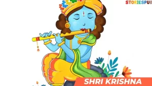 Read more about the article The Divine Life Story of Shri Krishna