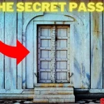 The Secret Passage: A Mysterious Story