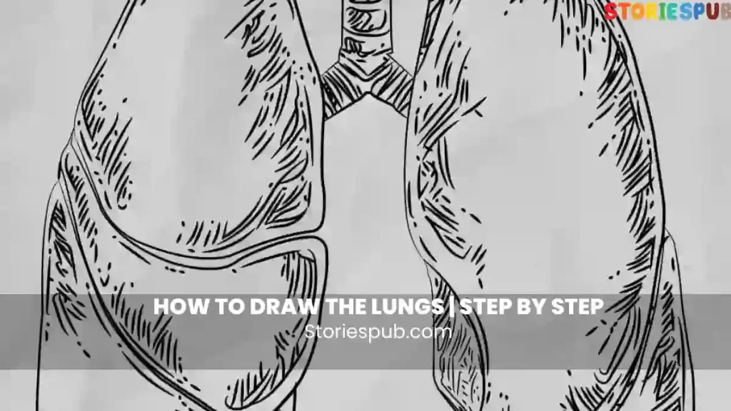How To Draw The Lungs | Step By Step