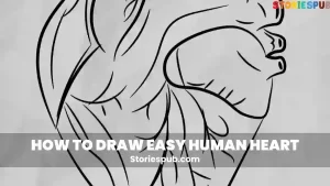 Read more about the article How to Draw Easy Human Heart