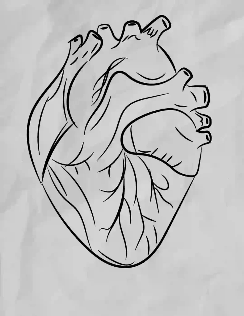 Detailed drawing of a human heart in retro style Vector Image-saigonsouth.com.vn