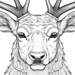 Reindeer Coloring Pages for Kids & Adults 