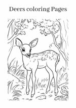 Deers coloring pages for Kids - Storiespub