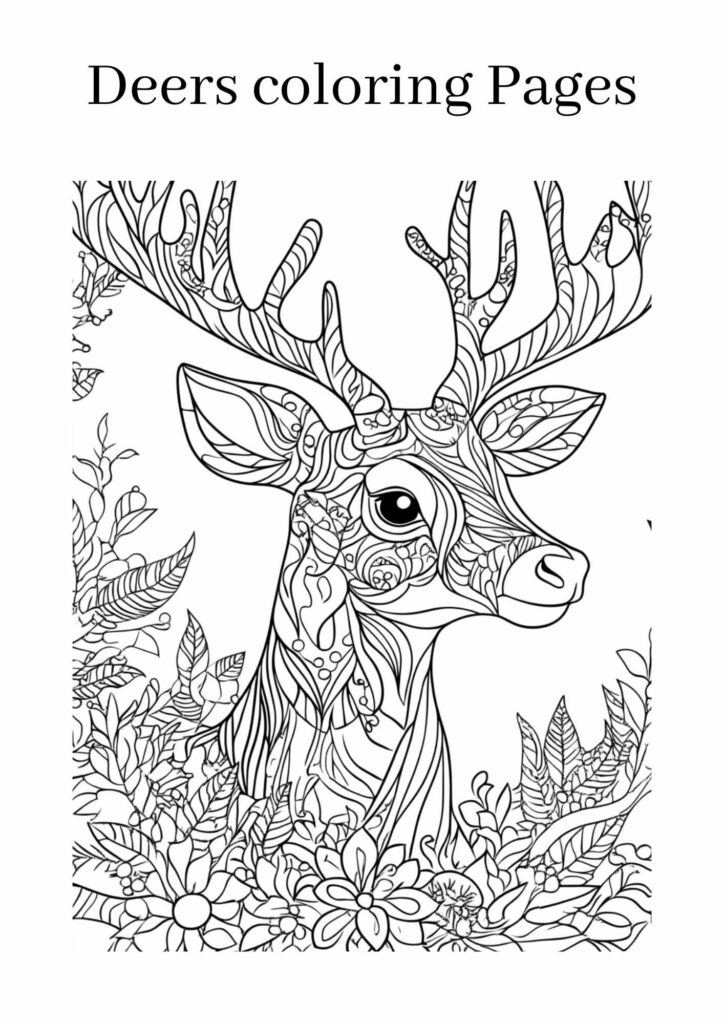 Deers coloring pages for Kids - Storiespub