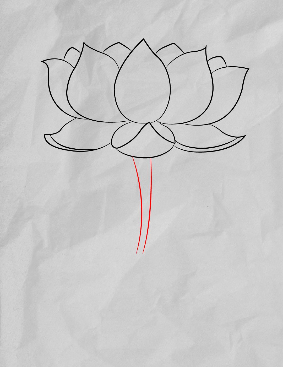 How To Draw A Lotus Flower | Easy Step By Step | Storiespub