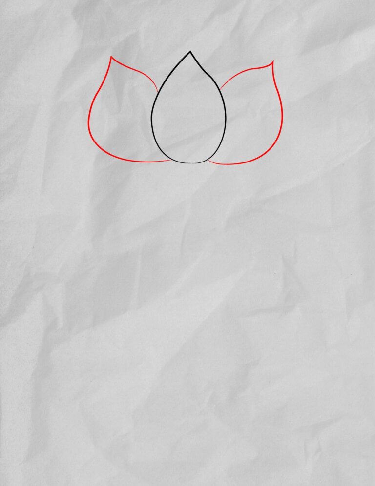 How To Draw A Lotus Flower | Easy Step By Step | Storiespub