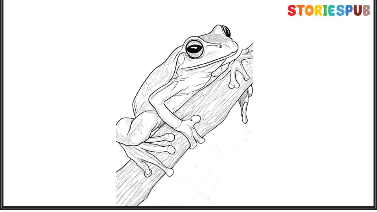 Frog Coloring Pages sheet 5