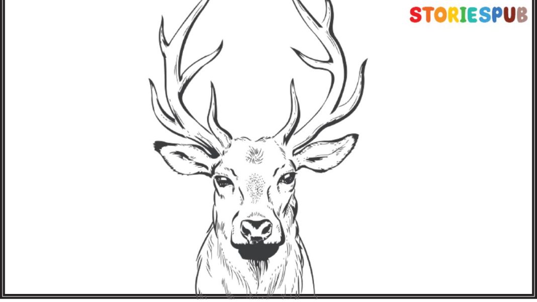 How-to-Draw-Deer